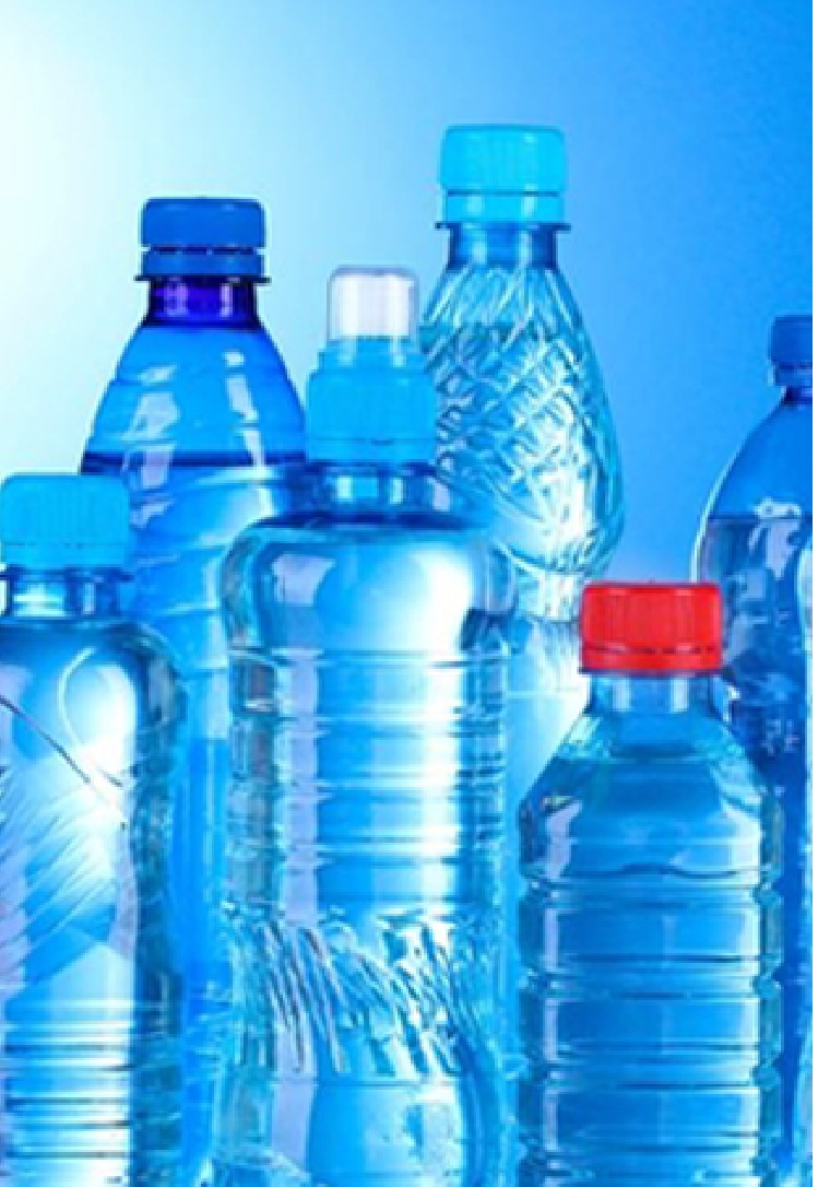 Plastic sector — original Scope of Business PDF image