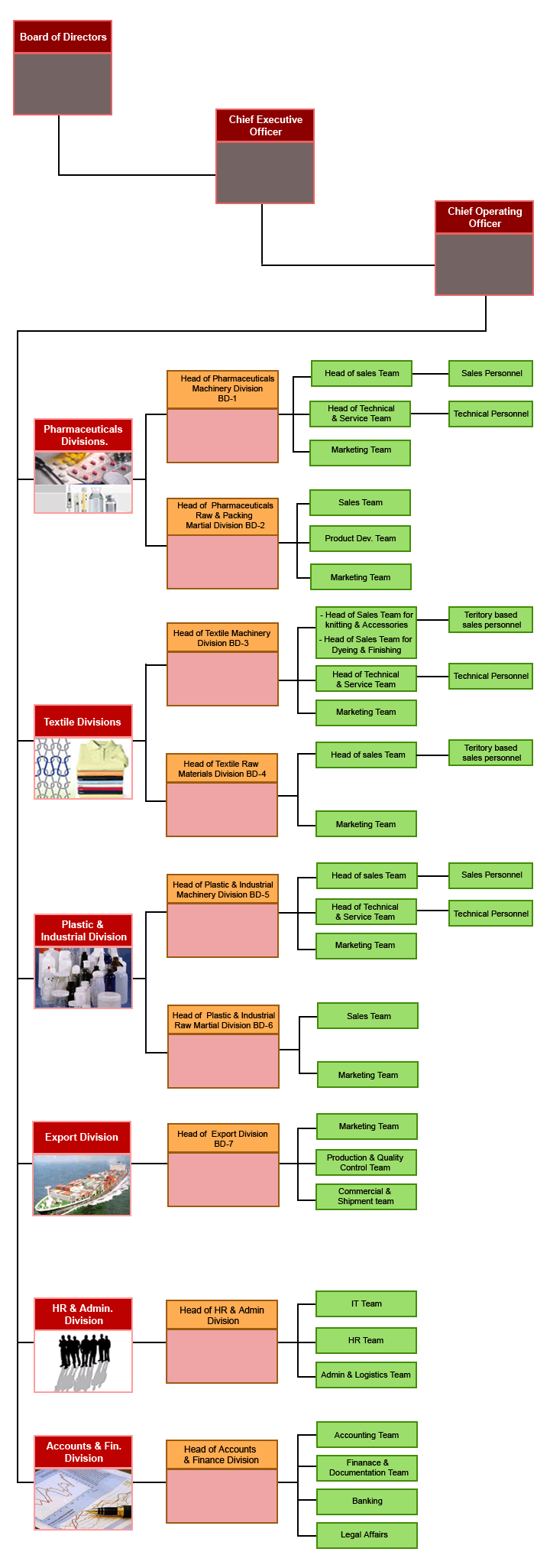 Original Excelsior team structure chart